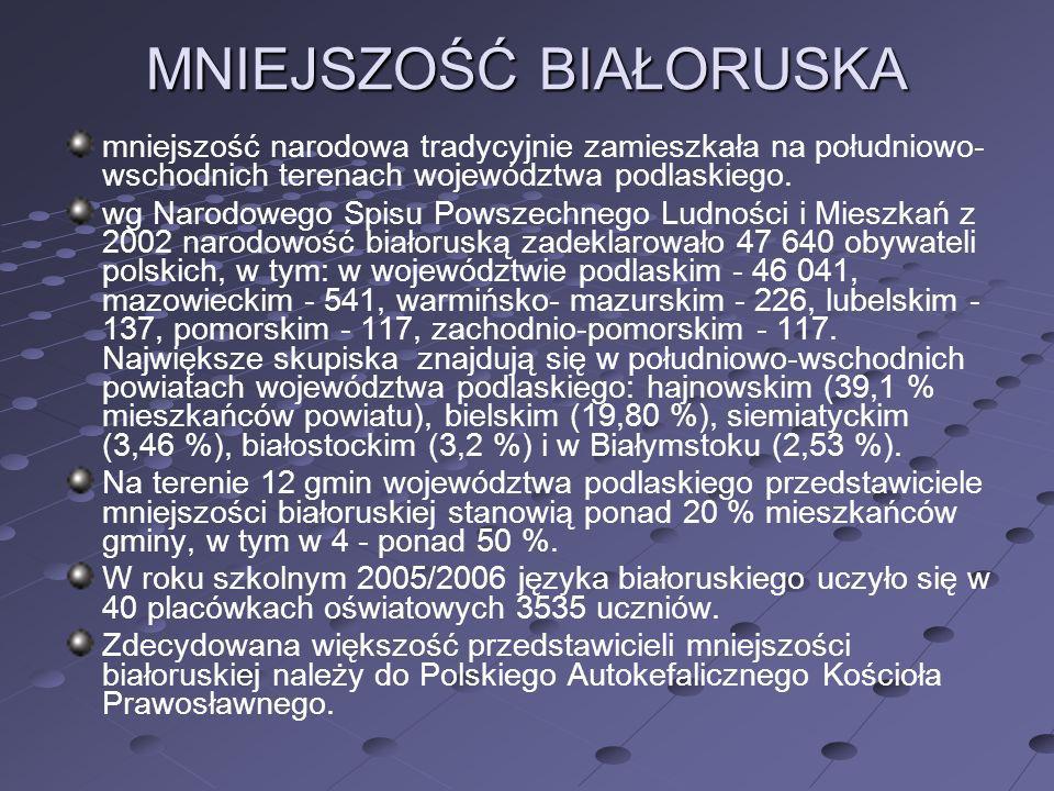 MNIEJSZOŚCI NARODOWE I ETNICZNE W POLSCE ppt video online pobierz